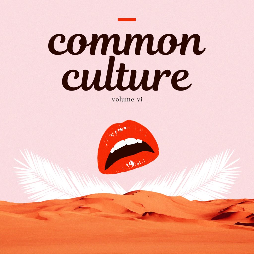 Common Culture VI